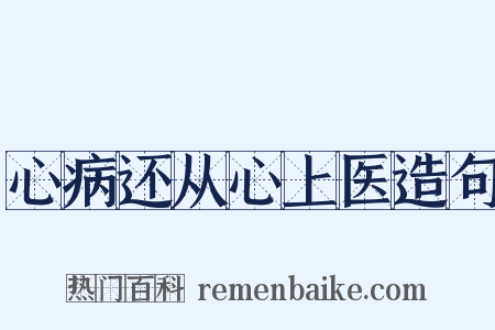 心病还从心上医造句是什么意思的图片